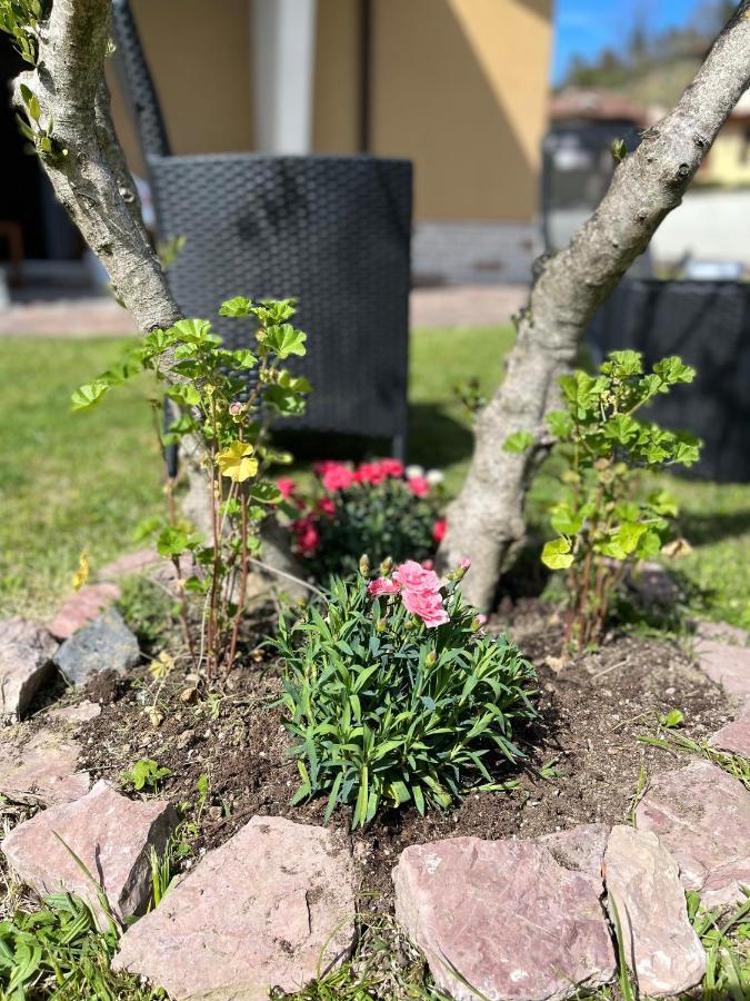 דירות ריקו דל גולפו די ספאציה Casa Mia Malva מראה חיצוני תמונה